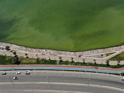 İ­z­m­i­r­­d­e­ ­d­e­n­i­z­i­n­ ­r­e­n­g­i­n­i­n­ ­d­e­ğ­i­ş­m­e­s­i­n­i­n­ ­n­e­d­e­n­i­ ­­p­l­a­n­k­t­o­n­­ ­p­a­t­l­a­m­a­s­ı­